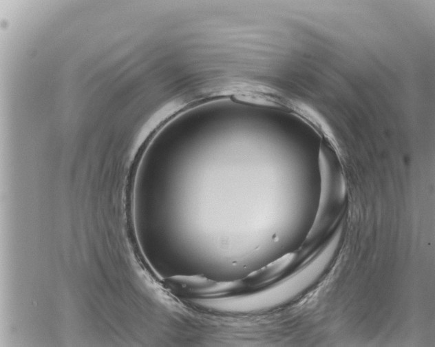 X0000065261138200602211243