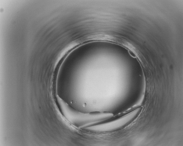 X0000065261139200602211243