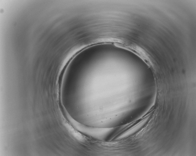 X0000065261140200602211243