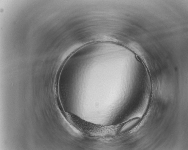 X0000065261141200602211243