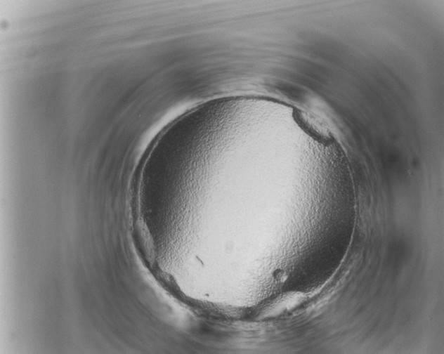 X0000065261142200602211243