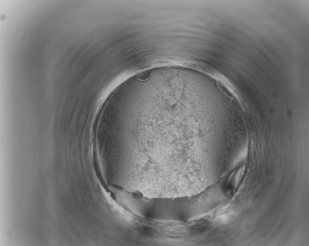 X0000065261143200602211243