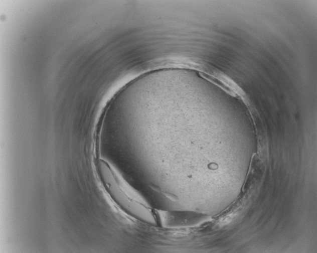 X0000065261144200602211243