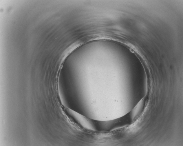 X0000065261145200602211243