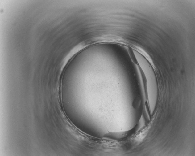 X0000065261146200602211243