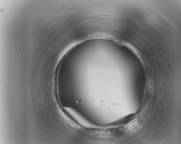 X0000065261147200602211243