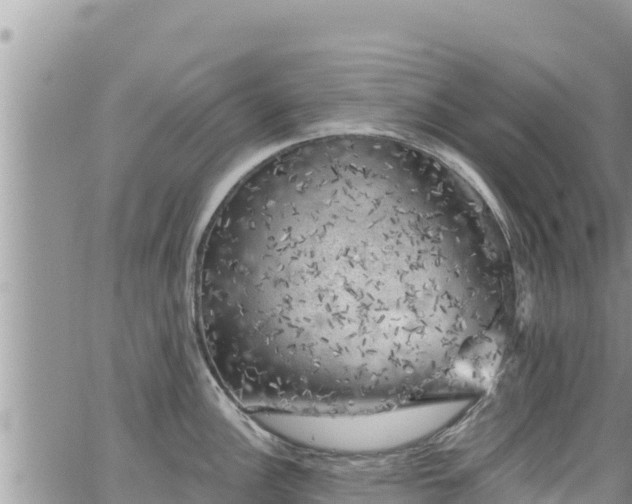 X0000065261148200602211243