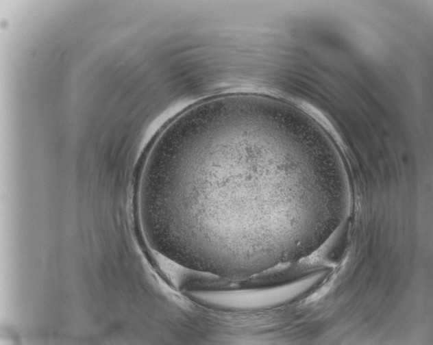 X0000065261149200602211243