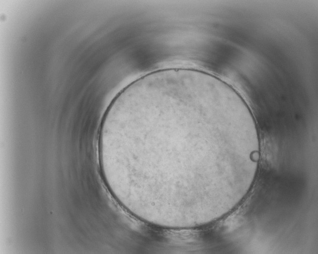 X0000065261150200602211243