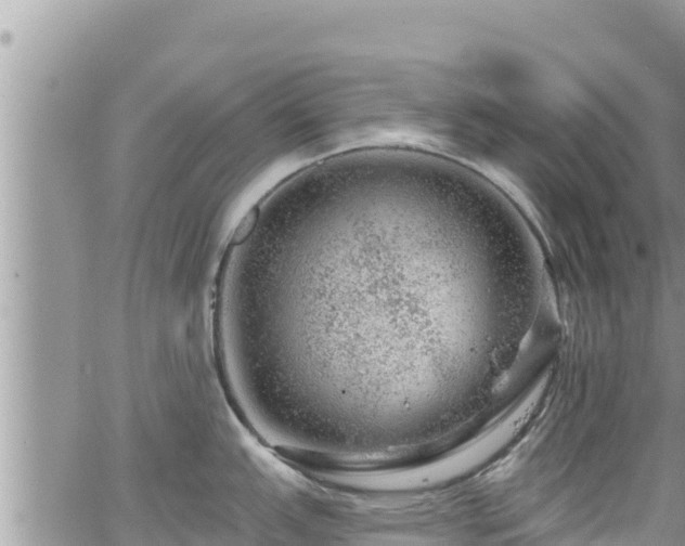 X0000065261151200602211243