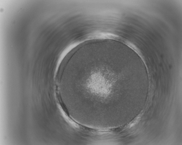 X0000065261152200602211243