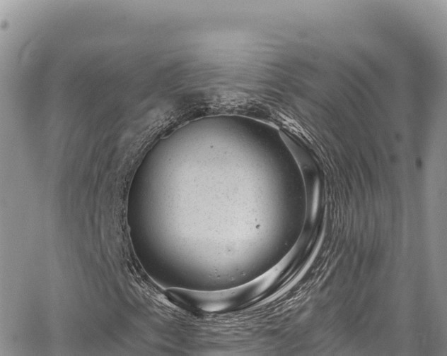 X0000065261153200602211243