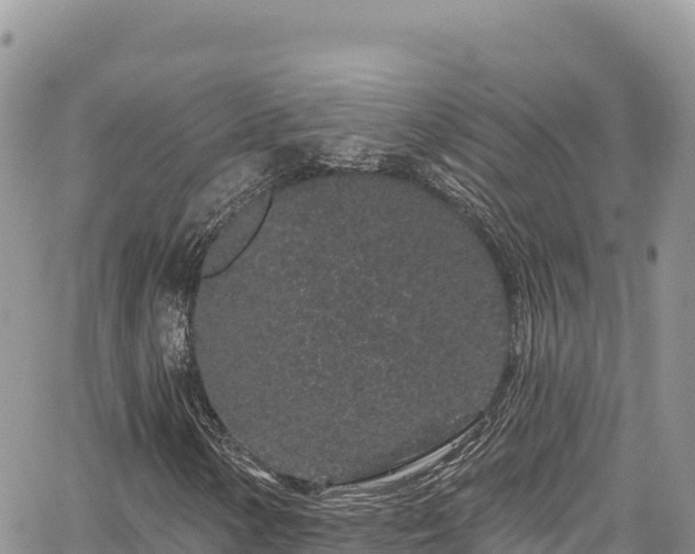 X0000065261154200602211243