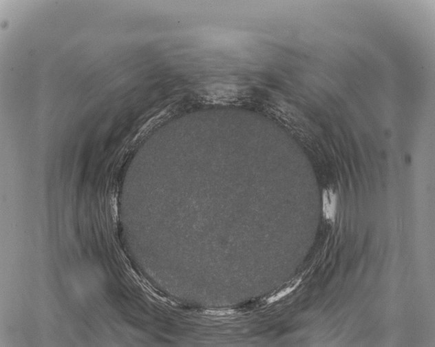 X0000065261155200602211243