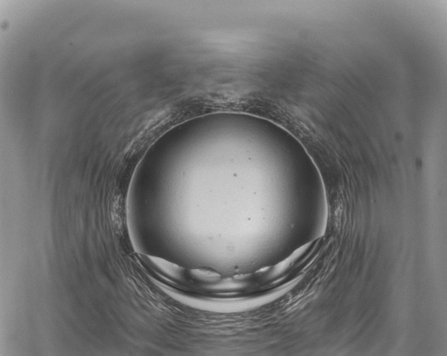 X0000065261156200602211243