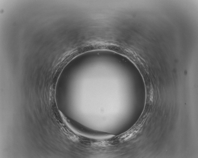 X0000065261157200602211243