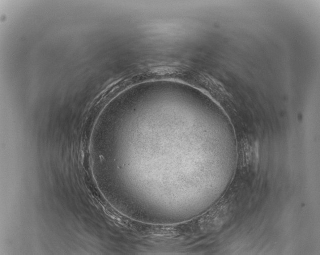 X0000065261158200602211243