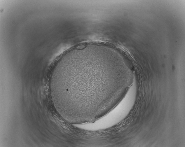 X0000065261159200602211242