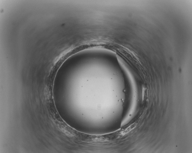 X0000065261160200602211242