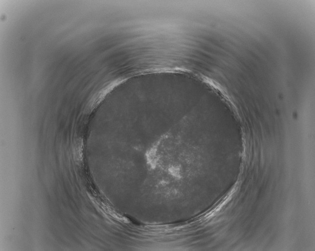 X0000065261161200602211242