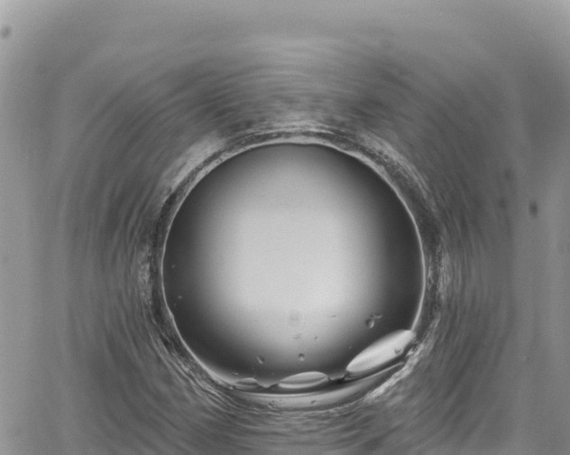 X0000065261162200602211242