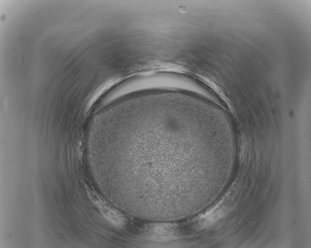 X0000065261163200602211242