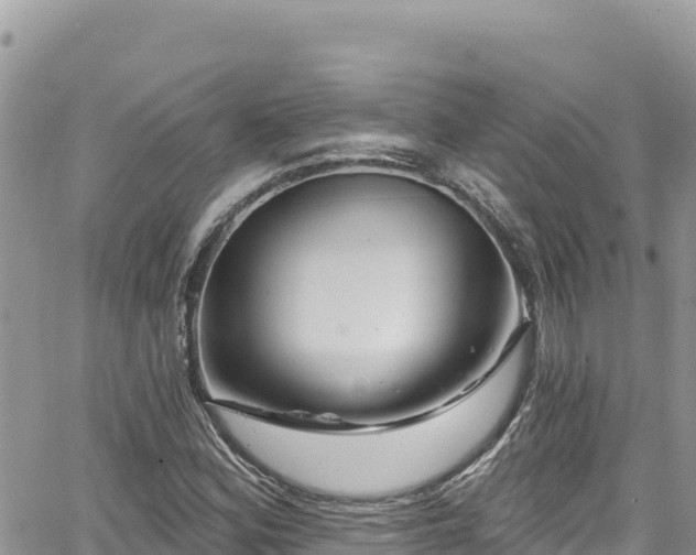 X0000065261164200602211242