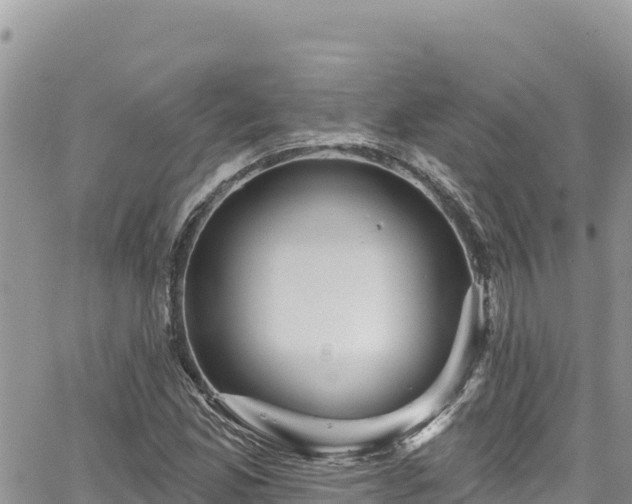 X0000065261165200602211242