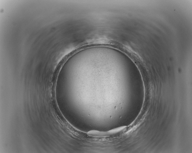 X0000065261166200602211242