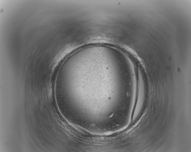 X0000065261167200602211242