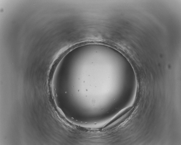 X0000065261168200602211242