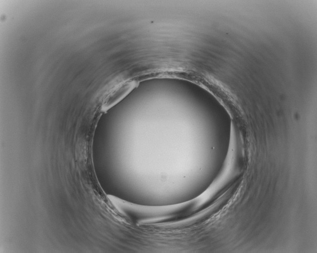 X0000065261169200602211242