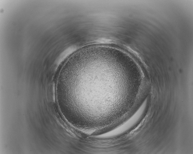 X0000065261171200602211242