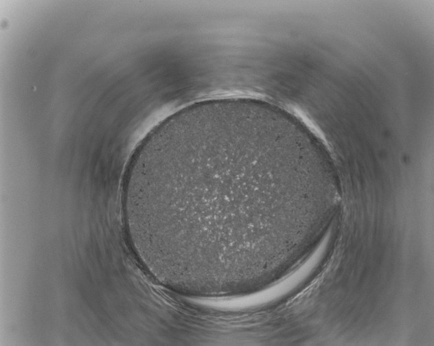 X0000065261173200602211242