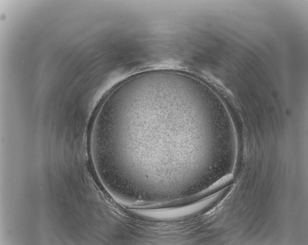 X0000065261174200602211242