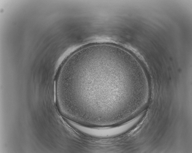 X0000065261175200602211242