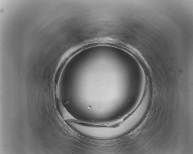 X0000065261176200602211242