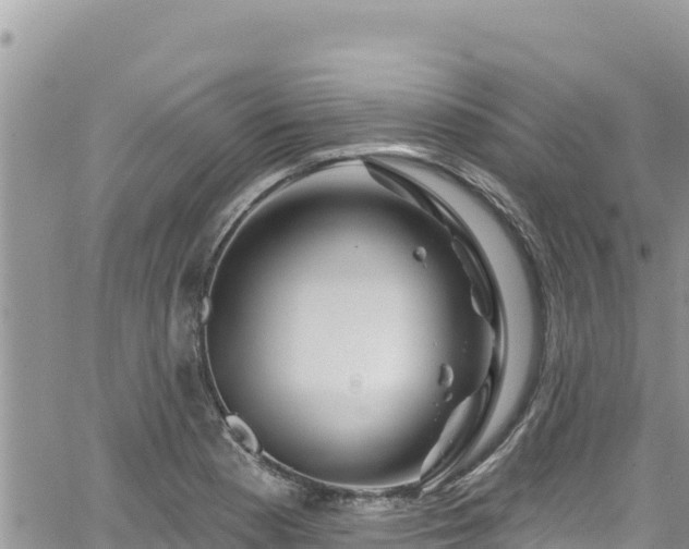 X0000065261177200602211242