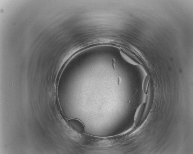 X0000065261178200602211242