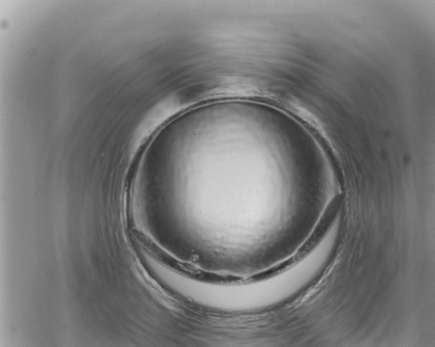 X0000065261179200602211242