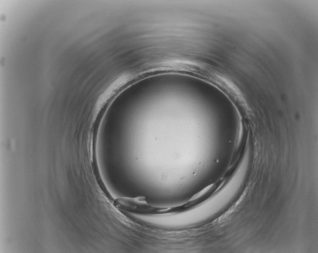 X0000065261180200602211242