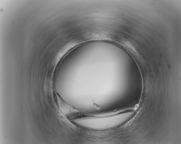 X0000065261182200602211242