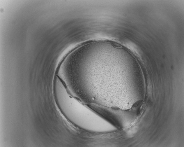 X0000065261183200602211242