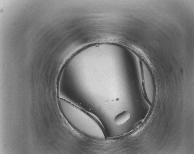 X0000065261184200602211242