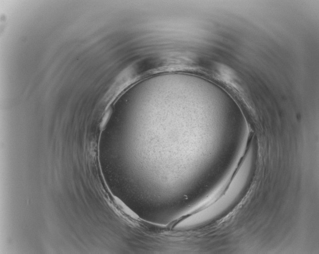 X0000065261185200602211242