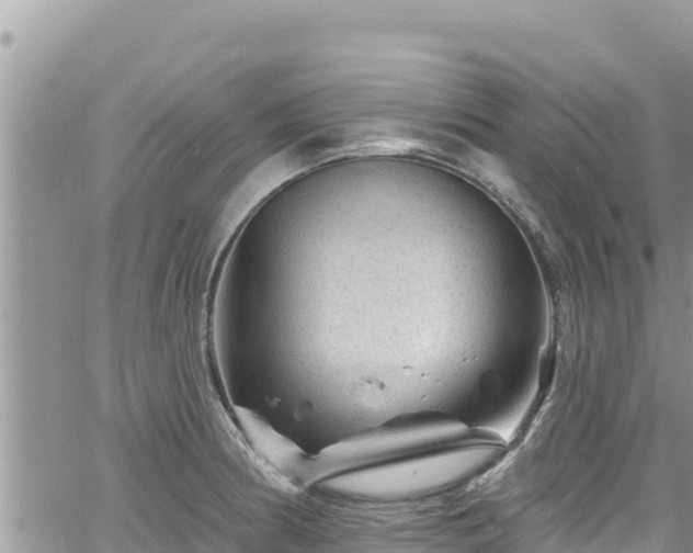 X0000065261186200602211242