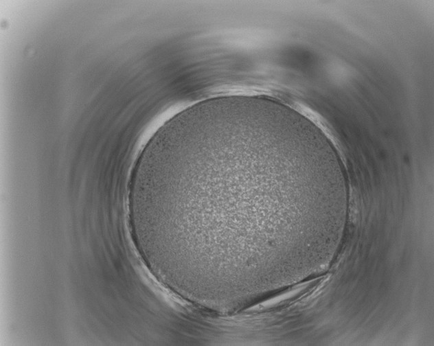 X0000065261187200602211242