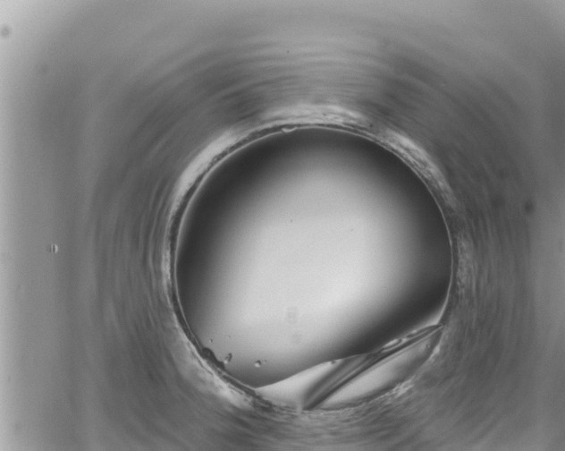 X0000065261188200602211242