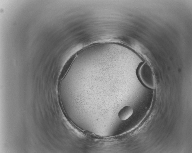 X0000065261189200602211242