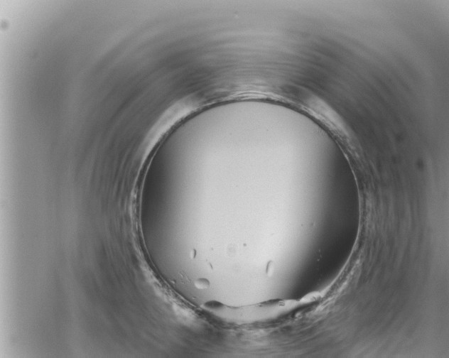 X0000065261190200602211242